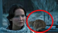 Sci-Fi-Fans machen sich seit Jahren über diesen "Tribute von Panem"-Fehler lustig