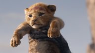 Neuer Weltrekord: „König der Löwen“ schlägt „Die Eiskönigin“