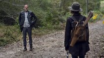„The Walking Dead“-Rätsel um Fanliebling endlich gelöst: Hier hat er sich versteckt