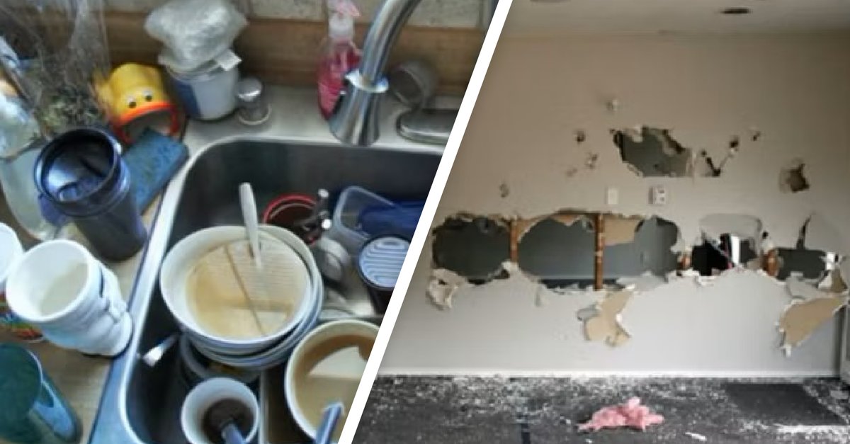 Schockierende Wendung! Wurden Beweisbilder Gefälscht? Airbnb Mieterin Im Visier! - ujyz21a