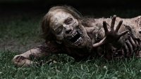 Nach brutalem Tod in letzter „The Walking Dead“-Folge: Star deutet Rückkehr an