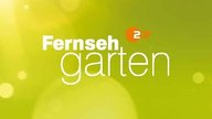 Große Verwirrung um „ZDF-Fernsehgarten“: Kurzzeitige Sperrung wegen Jugendschutz-Maßnahme