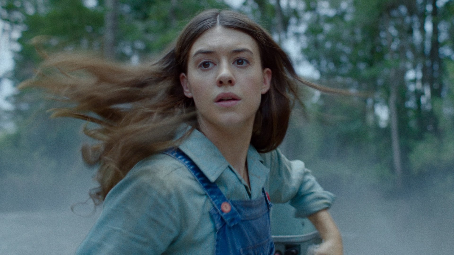„Der Gesang der Flusskrebse“ Basiert der NetflixHit auf einer wahren KriminalGeschichte?