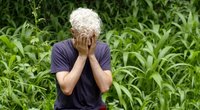 Kürzeste Folge aller Zeiten? „Dschungelcamp“-Fans sind verärgert