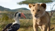 „Der König der Löwen“: Neuverfilmung bricht gleich mehrere Rekorde
