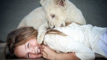 „Mia und der weiße Löwe“: Gewinnt 2 Fanpakete inklusive Freikarten zum Kinostart