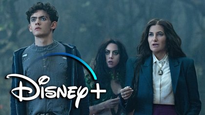 Hostel Serie: Peacock Plant Das Unfassbare! Fans Sind Gespannt! - vvuviju