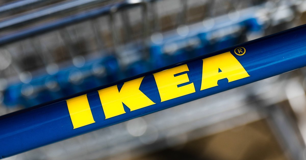 IKEA Family Card Login Karte online & in App öffnen