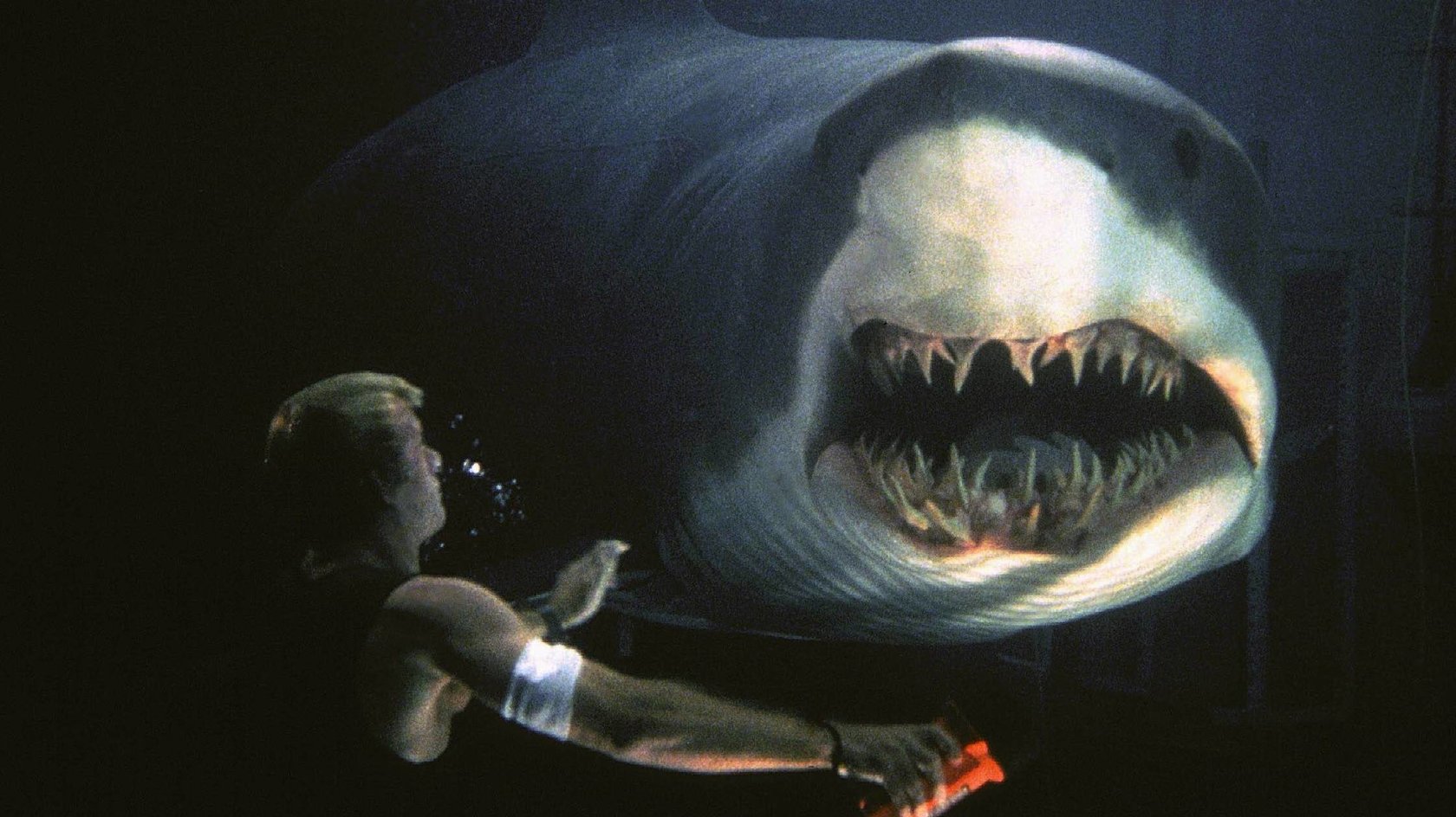 Heute im TV: Stephen King hat jede Minute dieses kultigen Hai-Horrorfilms geliebt