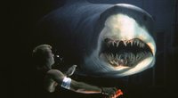 Stephen King hat „jede Minute geliebt“: So seht ihr einen der kultigsten Hai-Horrorfilme im Stream
