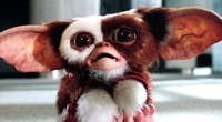 „Gremlins 3“ droht das Aus: Fortsetzung kommt wohl doch nicht
