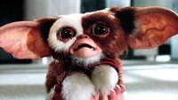 „Gremlins 3“ droht das Aus: Fortsetzung kommt wohl doch nicht