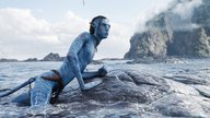 Wegen umstrittener „Avatar 2“-Aktion: James Cameron „kochte vor Wut“