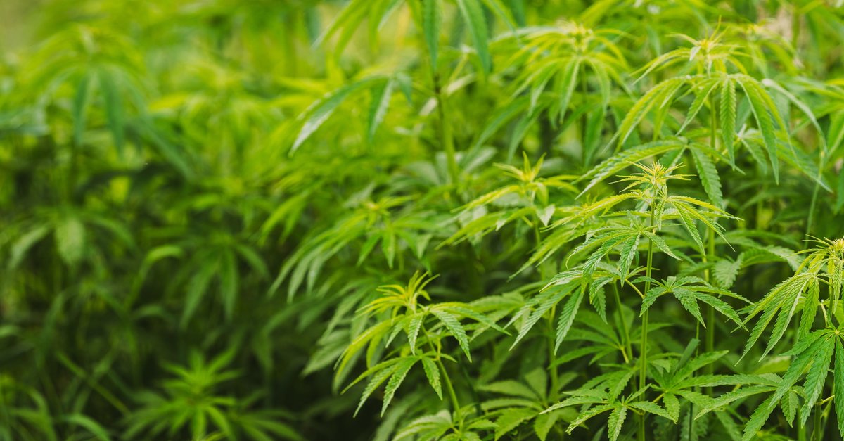 420: Was bedeutet der Code?