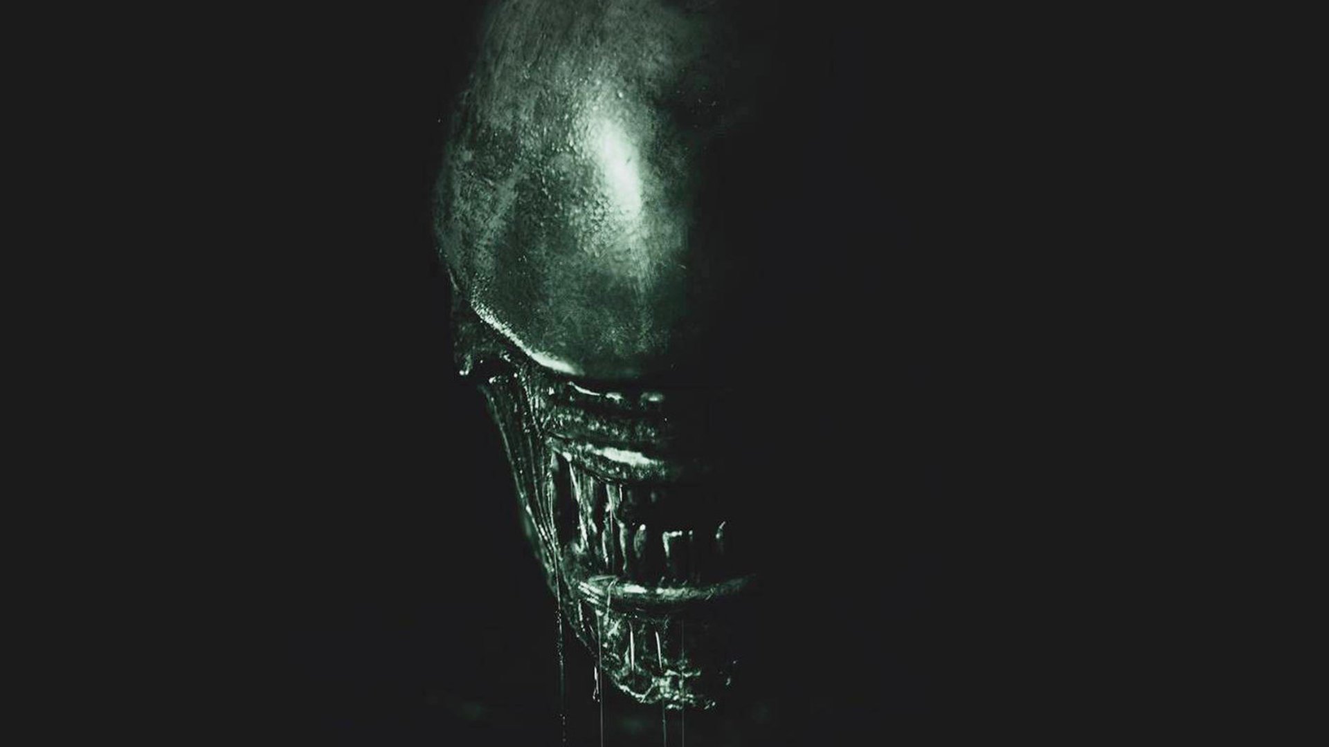 #Neue Details und Stars zum kommenden „Alien“-Horrorfilm vom „Evil Dead“-Macher enthüllt