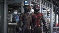 Beliebtes MCU-Trio wird in „Ant-Man 3“ gesprengt: Ermittlungen gegen Ex-Marvel-Star laufen