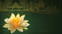 „The White Lotus“: Staffel 4 bereits bestätigt – das wissen wir bisher