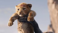 „Der König der Löwen 2“ kommt: Disney überrascht mit Regisseur-Wahl