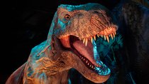 „Jurassic World: The Exhibition“ nur noch für kurze Zeit in Köln – jetzt noch Tickets sichern