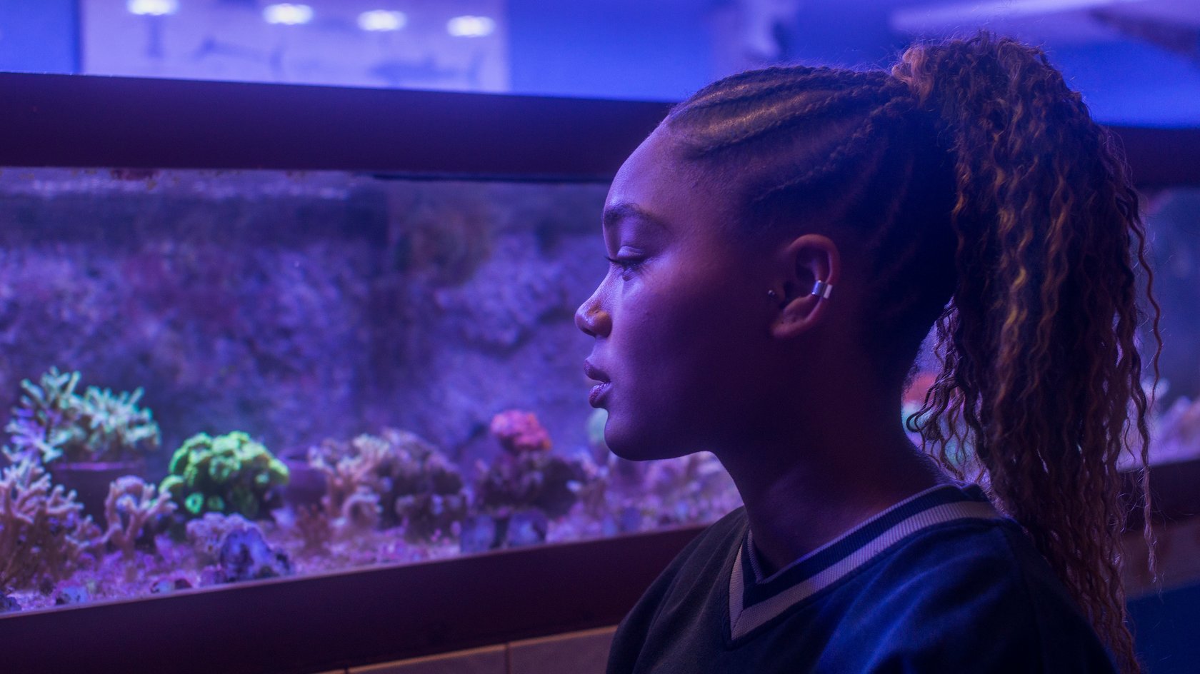„DRUCK“ Staffel 9: Wann kommen neue Folgen der Webserie?