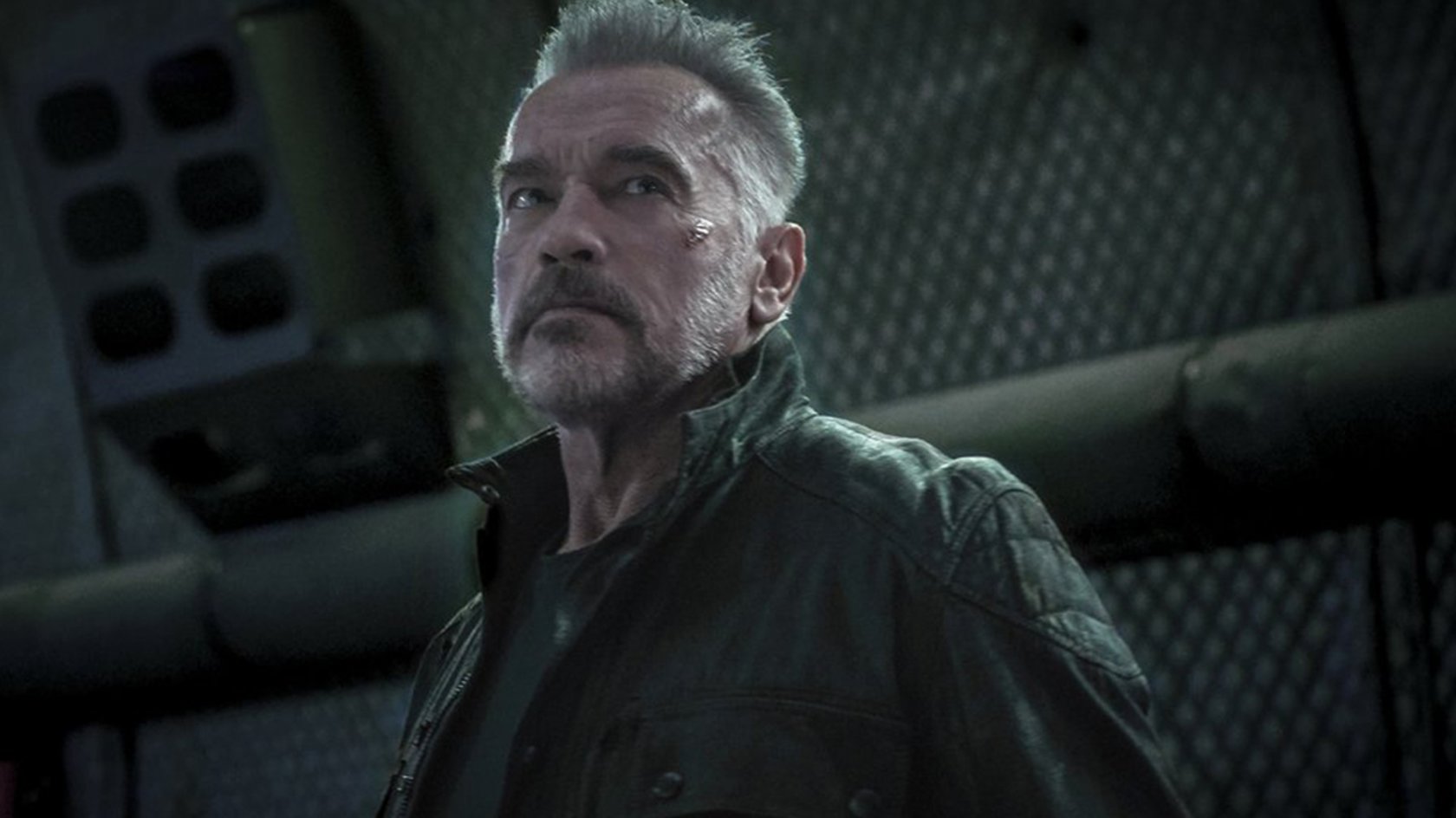 Arnold Schwarzenegger rettet letztes Projekt von Marvel-Legende Stan Lee