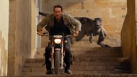 Wie Marvel-Filme: Star deutet große Zukunft nach „Jurassic World 3“ an