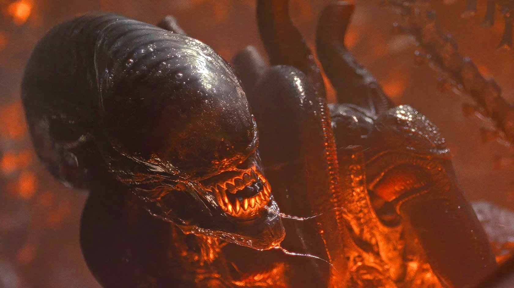 „Sollte so wichtig sein wie ‚Star Trek‘ oder ‚Star Wars‘“: Ridley Scott schimpft & sät Zweifel an „Alien“-Rückkehr