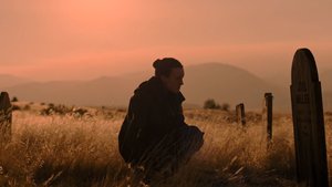 Kaffeebohnen auf dem Grab von [Spoiler]? Das hat Ellies rührende Geste in „The Last of Us“ wirklich zu bedeuten