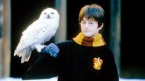 „Harry Potter“-Persönlichkeitsquiz: Welches Hogwarts-Haustier hättest du?