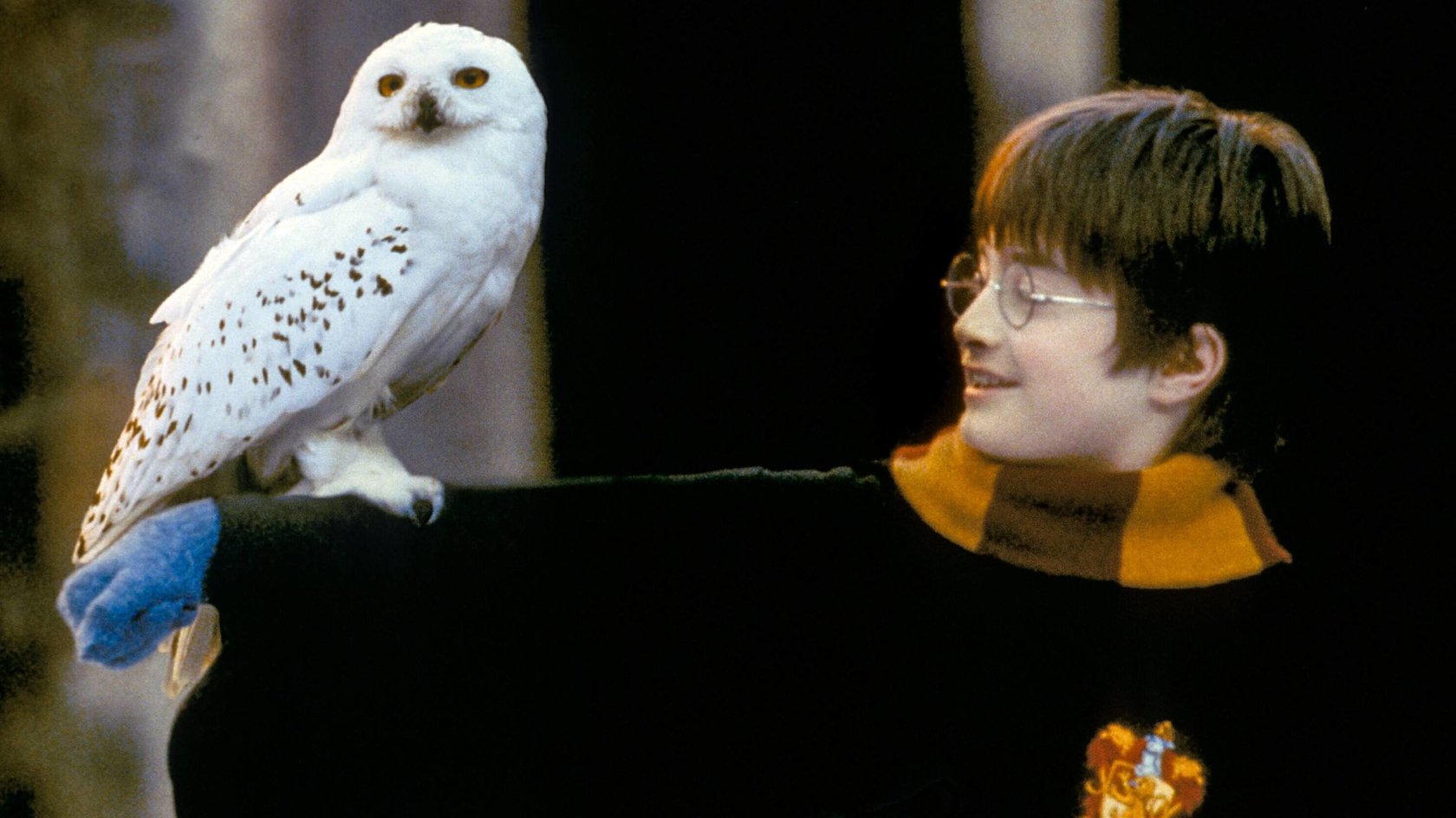 Harrys treue Eule als Lampe? Dieses Fan-Item gibt’s jetzt bei Amazon!