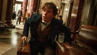 „Phantastische Tierwesen“-Quiz: Könnt ihr mit Newt Scamander mithalten? Testet euer Wissen!