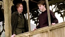 Taschentücher raus: Diese „Harry Potter“-Fakten könnten Fans zu Tränen rühren