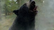 „Cocaine Bear“: Gewinnt die irre Horrorkomödie zum DVD-Start fürs eigene Heimkino