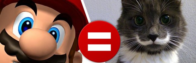 Diese 10 Tiere sehen fast so aus wie Super Mario!