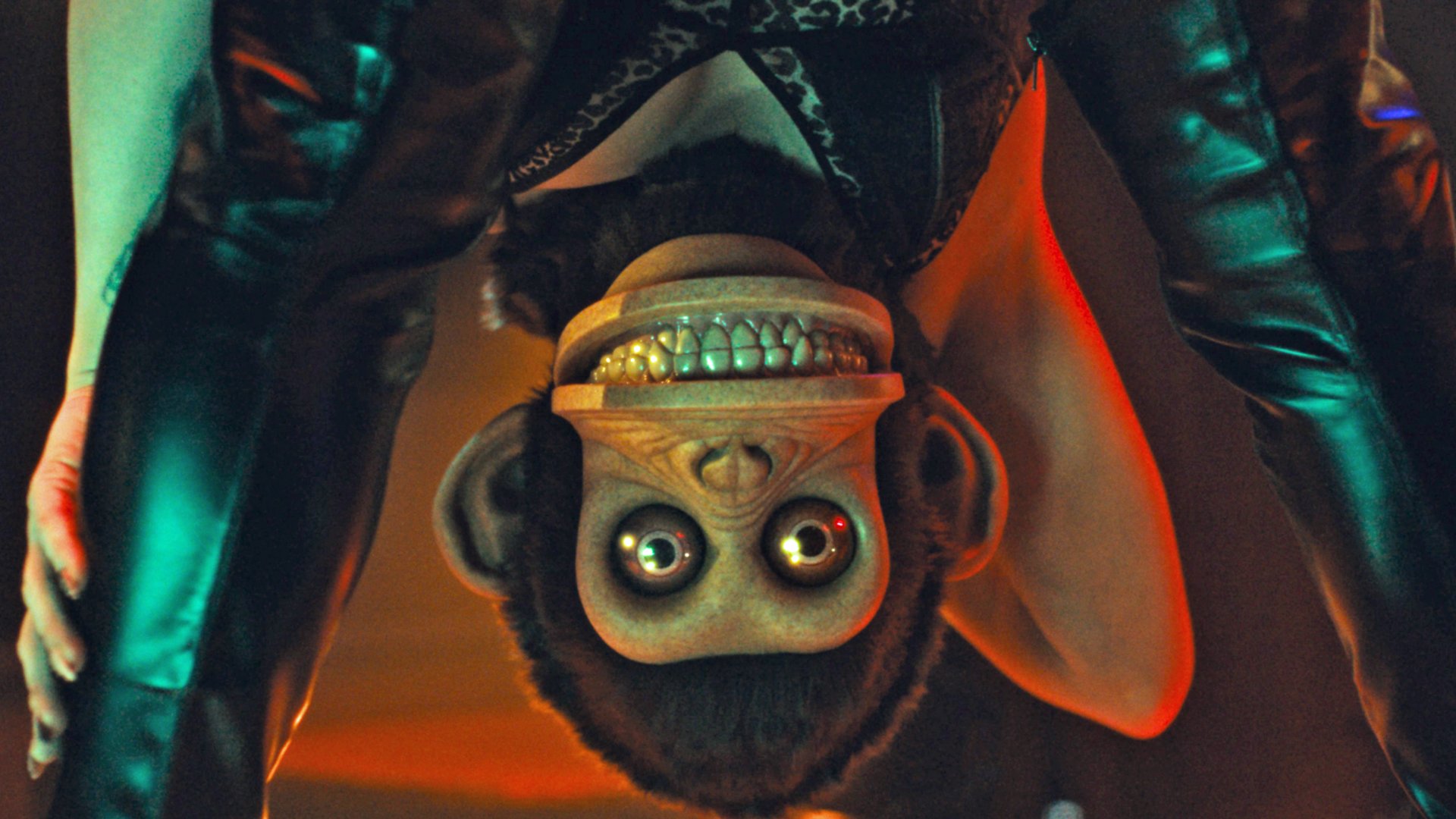 „The Monkey“: Von der Kurzgeschichte zum Film – zündet die Stephen-King-Adaption?