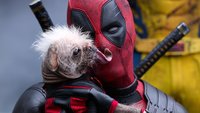 Brach Ryan Reynolds das Herz: Marvel-Star musste Freund aus „Deadpool & Wolverine“ entfernen