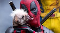 MCU-Pause oder endgültiger Abschied? Deadpool-Star Ryan Reynolds spricht über mögliches Marvel-Aus