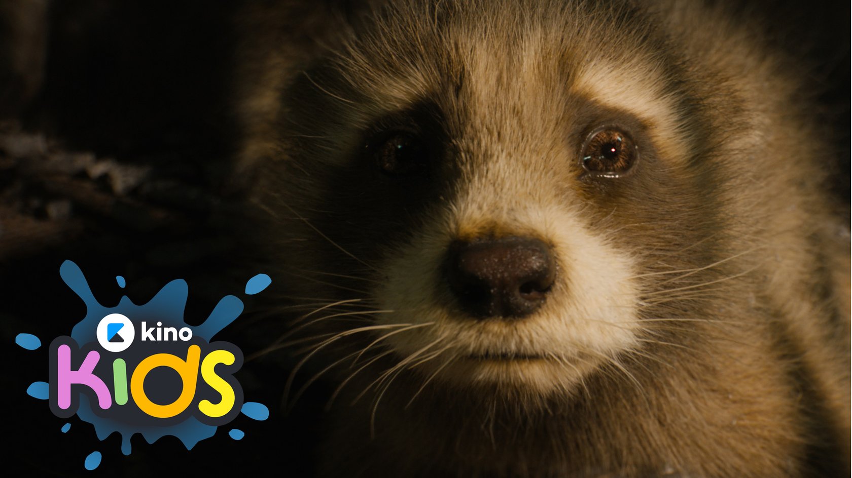 „Guardians of the Galaxy 3“ Altersfreigabe: FSK-Empfehlung und Elternguide zum neuen Marvel-Film