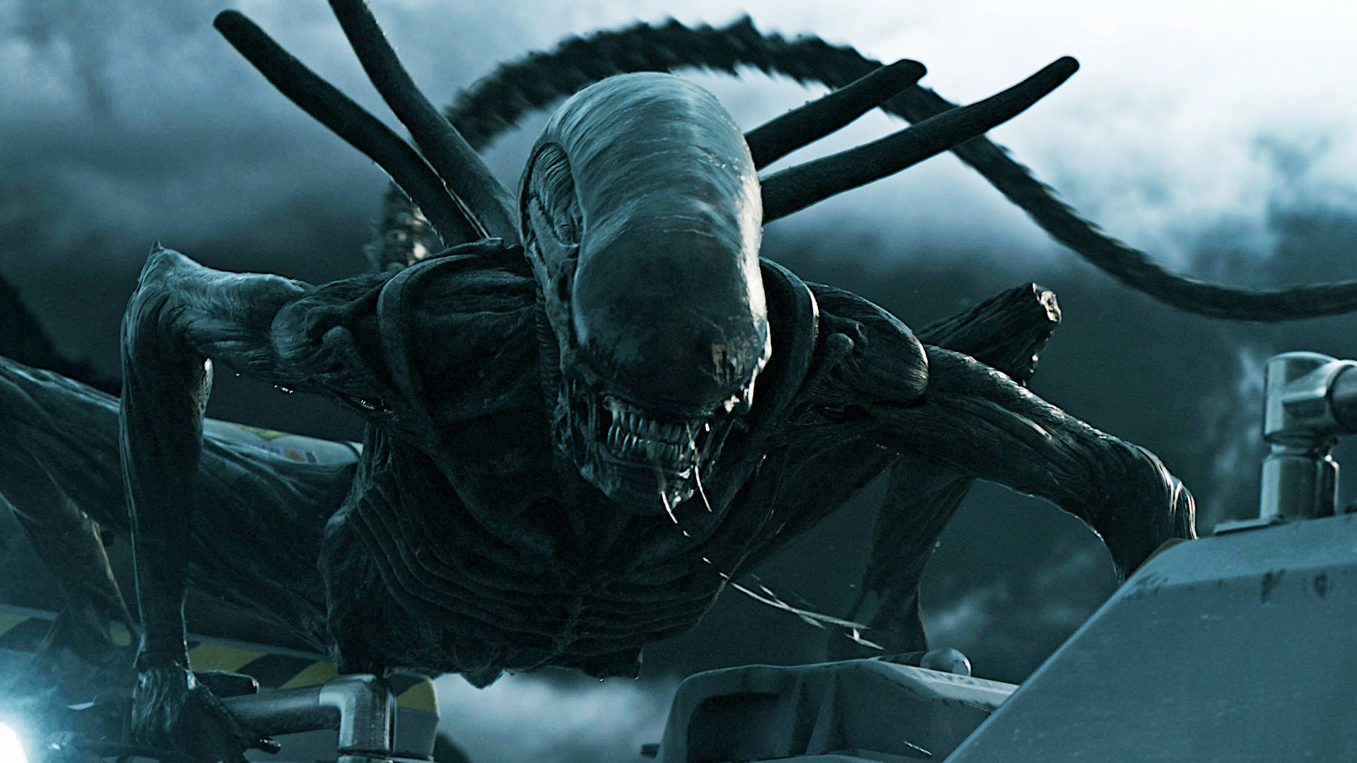 #Horror-Überraschung: Neuer „Alien“-Film kommt – und der geht völlig neuen Weg