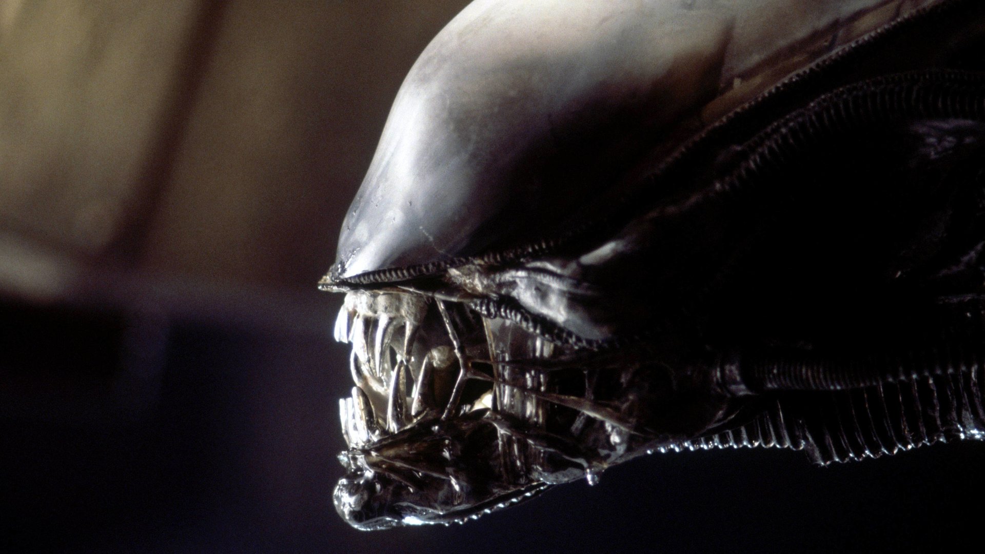 #Nach 6 Jahren Sci-Fi-Horror-Pause: Nächster „Alien“-Film ist in der heißen Phase