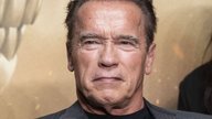 Im TV verpasst? Unterschätzten Schwarzenegger-Knaller jetzt vollständig streamen