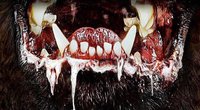 Netflix verfilmt legendären Horror-Trip von Stephen King: Top-Regisseur jetzt im Gespräch