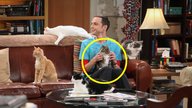 "The Big Bang Theory": 10 Fehler, die nur echten Fans aufgefallen sind