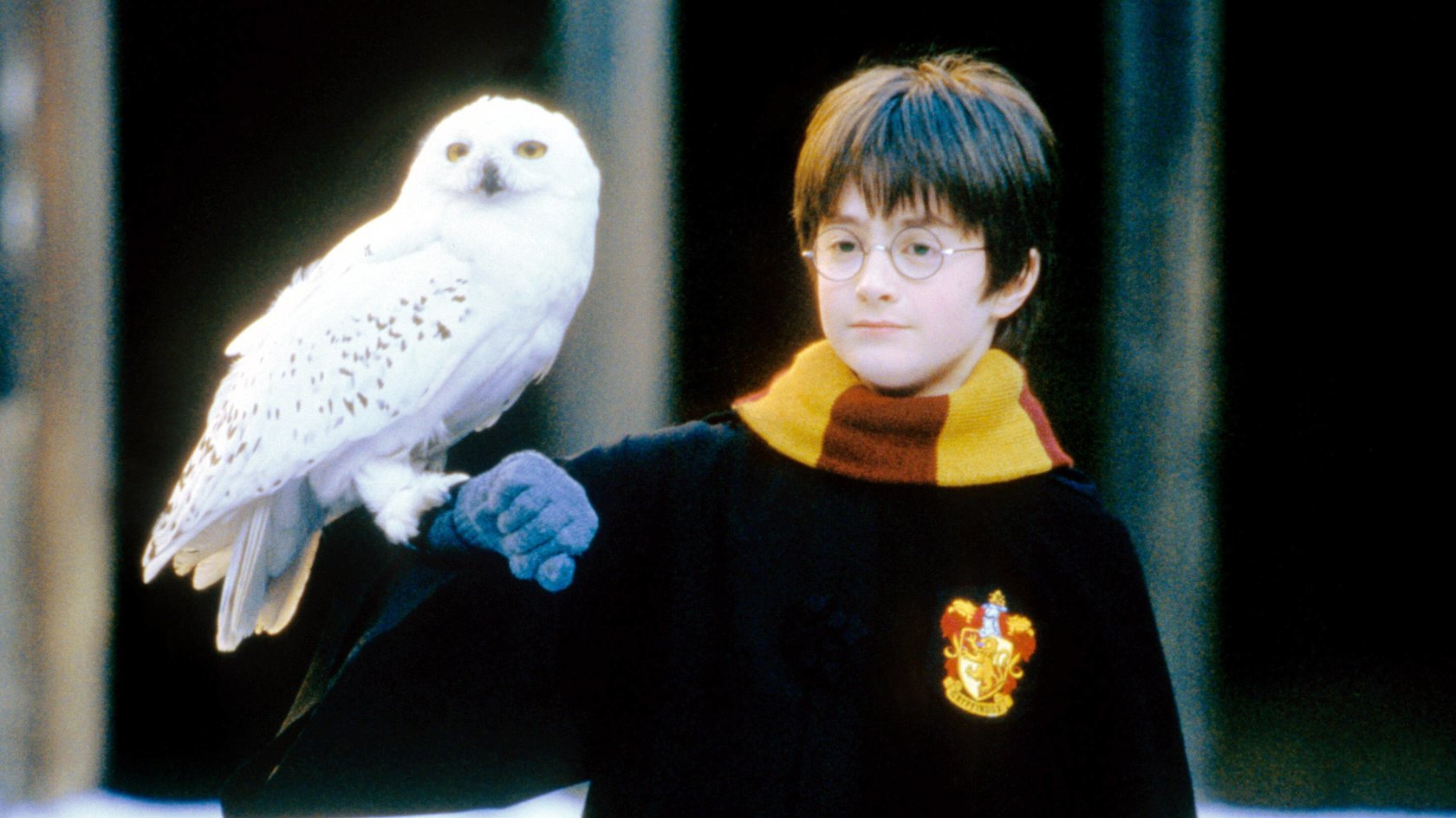 Dieses reduzierte „Harry Potter“-Kleidungsstück darf in keiner Kammer des Stils fehlen