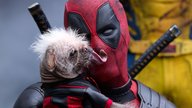 Größtes „Deadpool & Wolverine“-Rätsel: Ryan Reynolds streut jetzt sogar Salz in die Marvel-Fan-Wunde