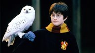 RTL+ im Oktober 2023: Neue Serien, Filme und Dokus im Stream zum Sonderpreis