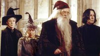 Für „Harry Potter“-Serie: Sohn von verstorbenem Fantasy-Star kommentiert Dumbledore-Fanwunsch