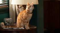 Captain Marvels Katze Goose: Der Flerken kehrt in „The Marvels“ zurück – mit niedlicher Überraschung