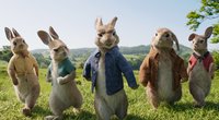 Osterhasen-Filme: 15 Filme über Hasen und Kaninchen – Nicht nur zu den Feiertagen ein großer Held