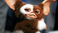 Steven Spielberg rettete „Gremlins“: Dank ihm ist der Kultfilm kein Flop geworden